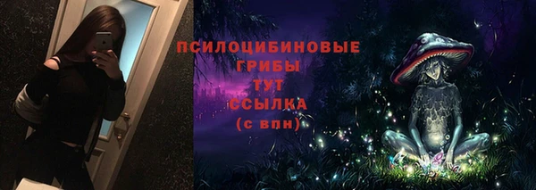стаф Новокубанск