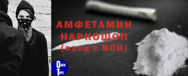 стаф Новокубанск