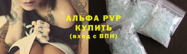 стаф Новокубанск
