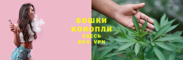 стаф Новокубанск