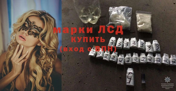 стаф Новокубанск