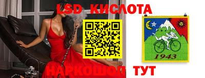 сатива Лесосибирск