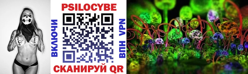 Купить где  Скопин  Псилоцибиновые грибы прущие грибы 