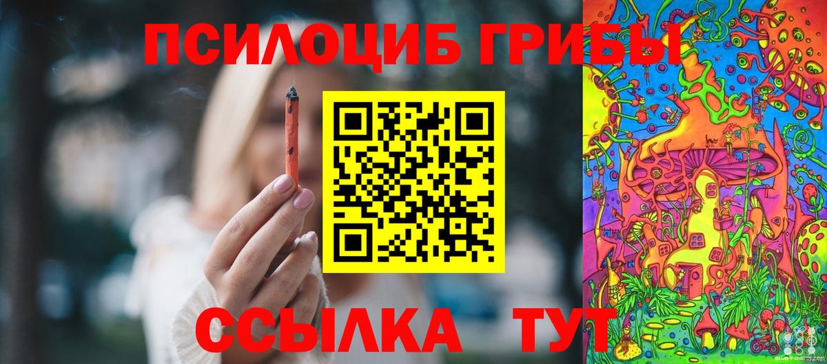 Псилоцибиновые грибы GOLDEN TEACHER  где купить наркотик  Скопин 