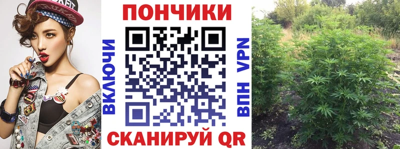 Купить где  Скопин  Шишки марихуана план 